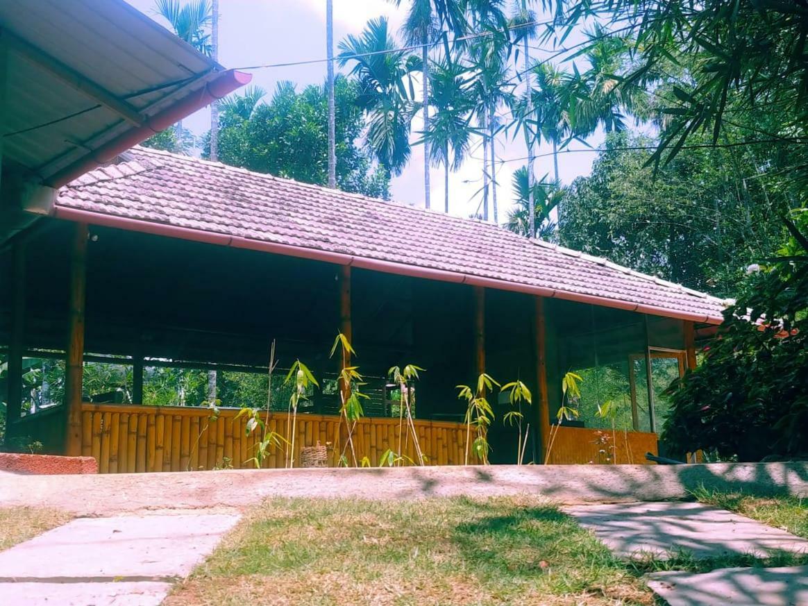 Misty Mornings Resort Ambalavayal Exterior foto